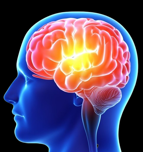 BRAIN BOOSTER