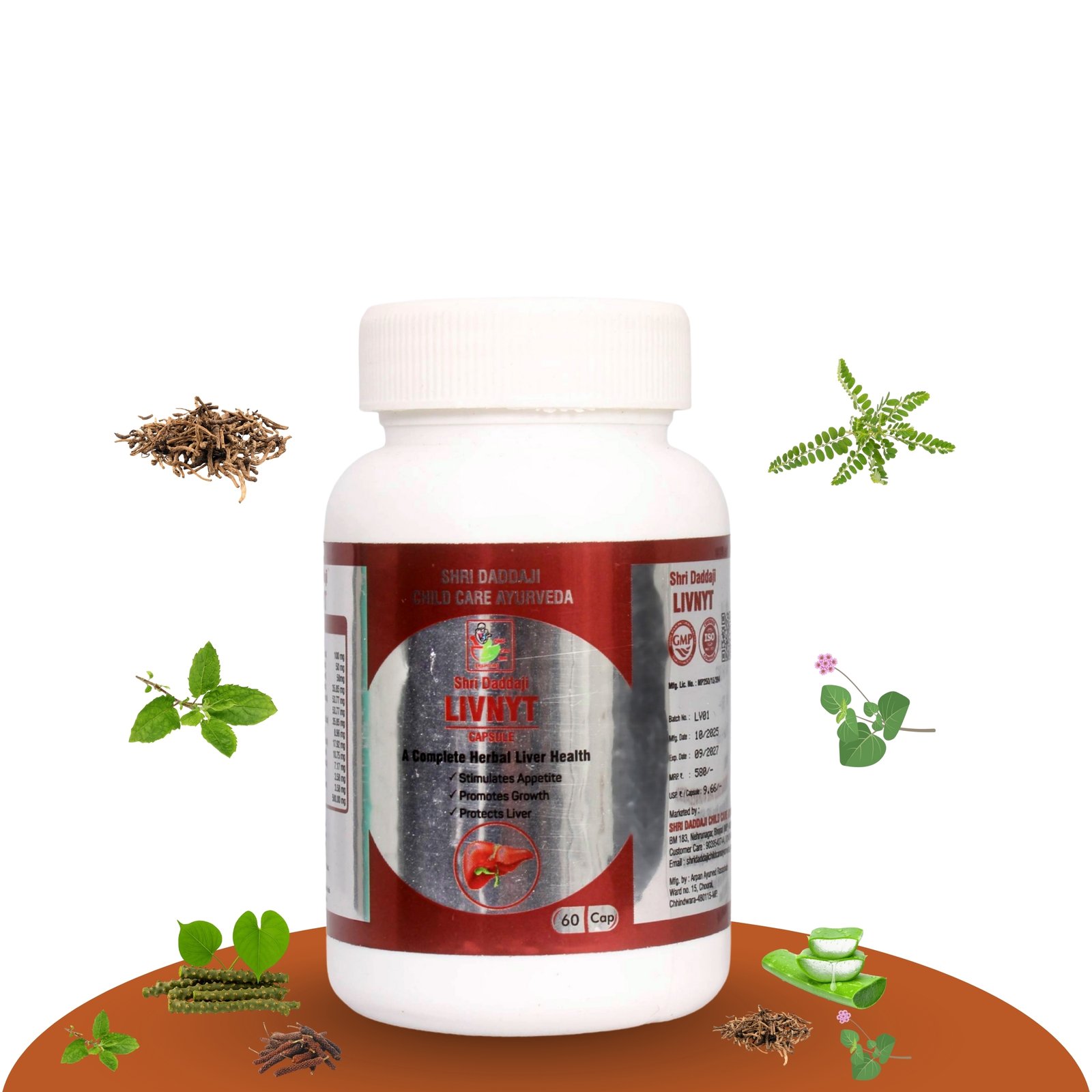 Shri Daddaji LIVNYT Capsule – Ayurvedic Liver Care Supplement | Supports Liver Health, Digestion & Appetite | 60 Capsules |Ayurvedic Formula | GMP Certified